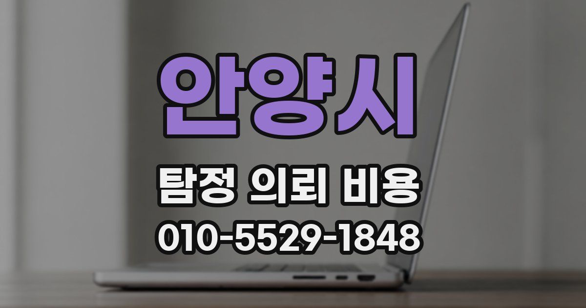 안양시 탐정 의뢰 비용