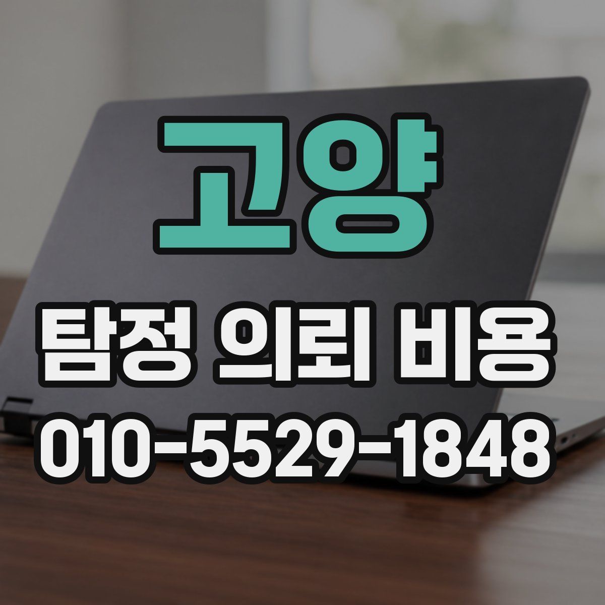 고양 탐정 의뢰 비용