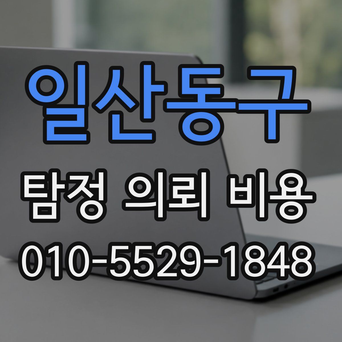 일산동구 탐정 의뢰 비용