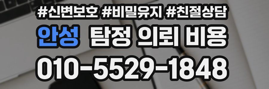 안성 탐정 의뢰 비용