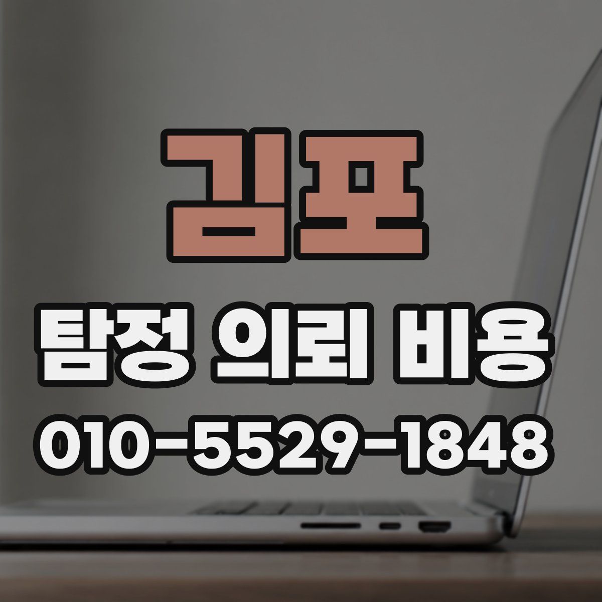 김포 탐정 의뢰 비용