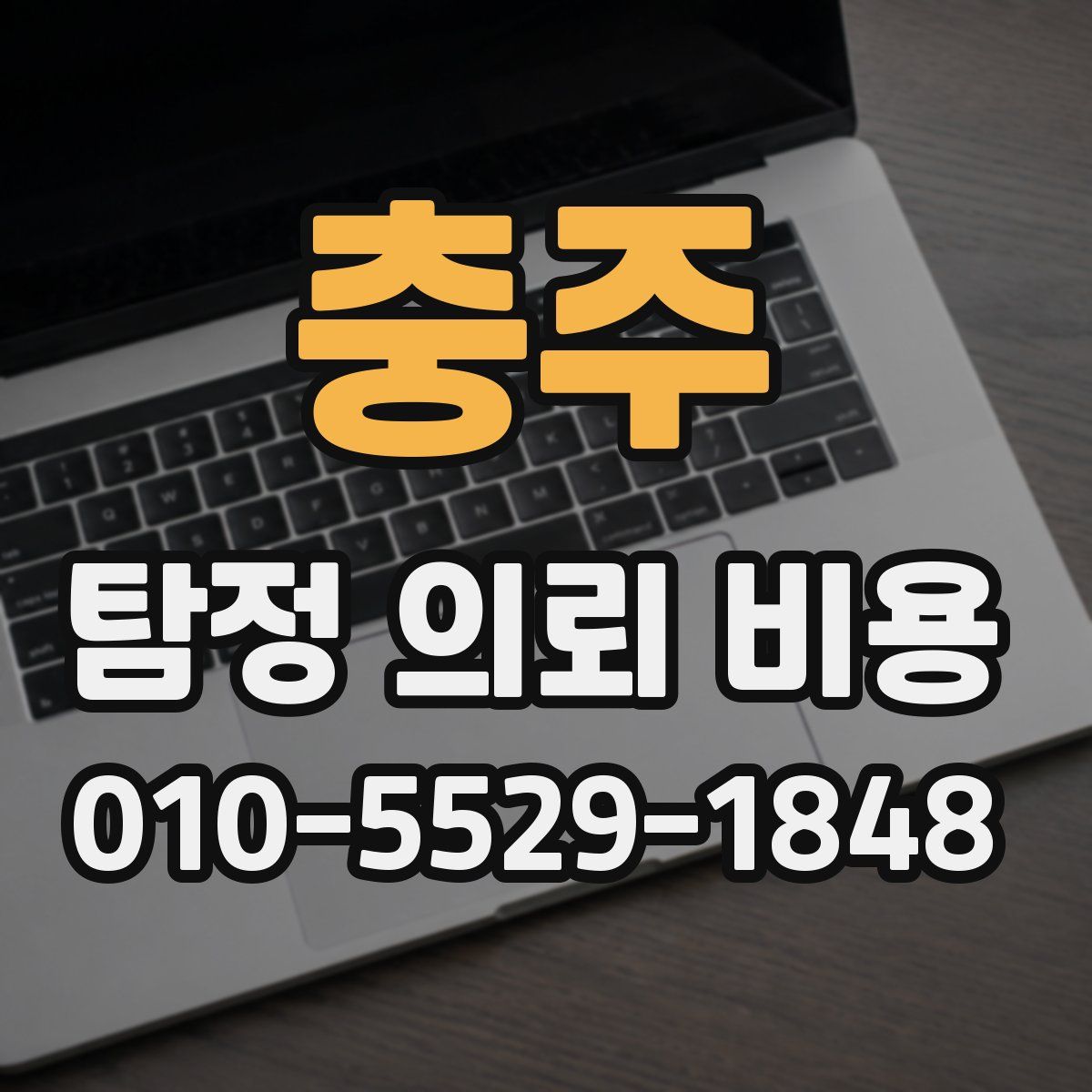 충주 탐정 의뢰 비용