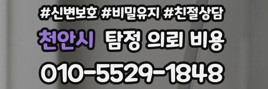 천안시 탐정 의뢰 비용