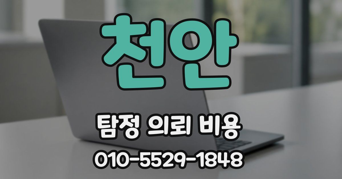 천안 탐정 의뢰 비용