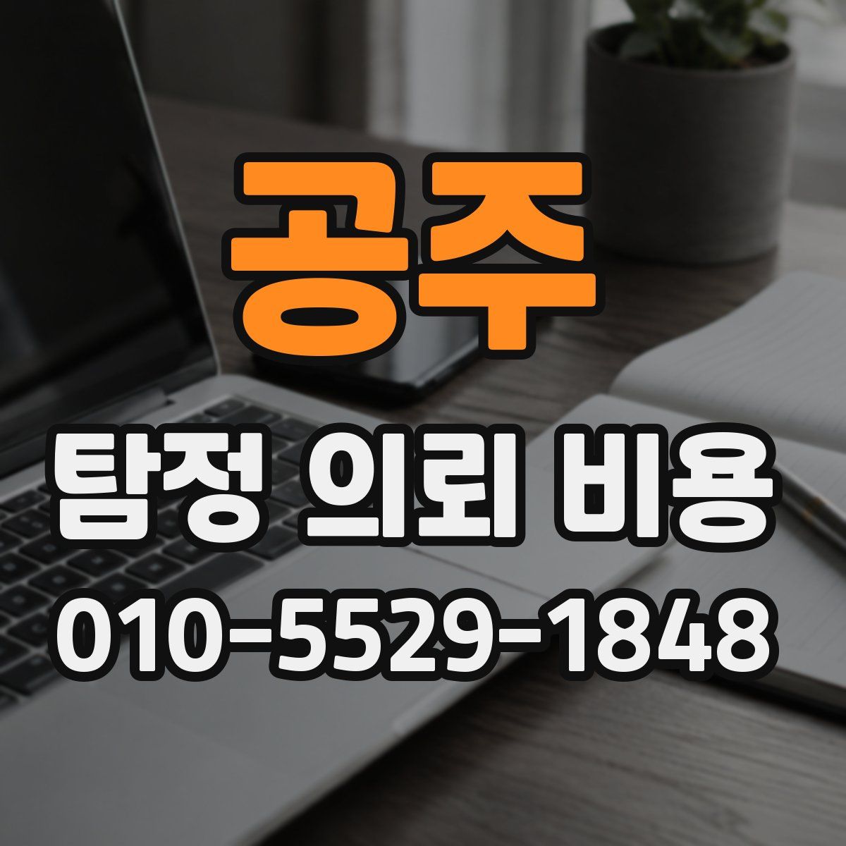 공주 탐정 의뢰 비용
