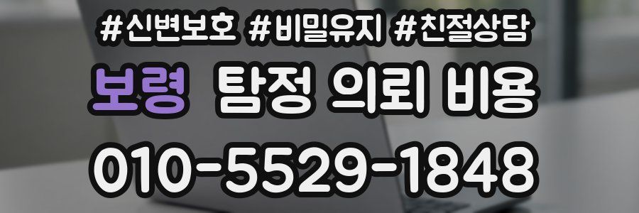 보령 탐정 의뢰 비용