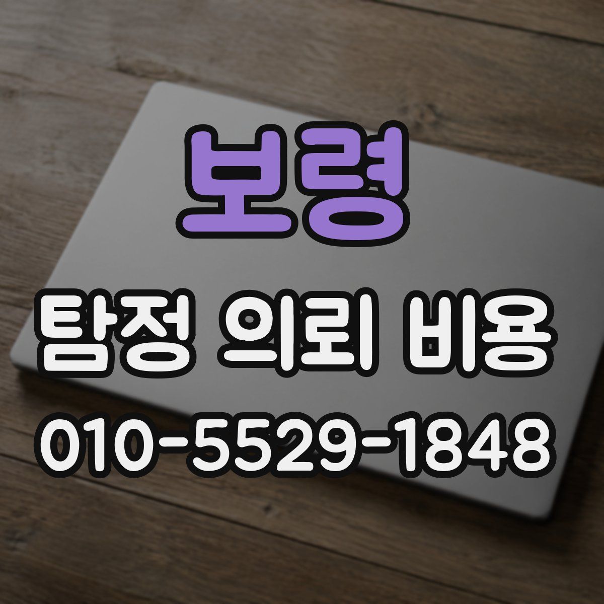 보령 탐정 의뢰 비용