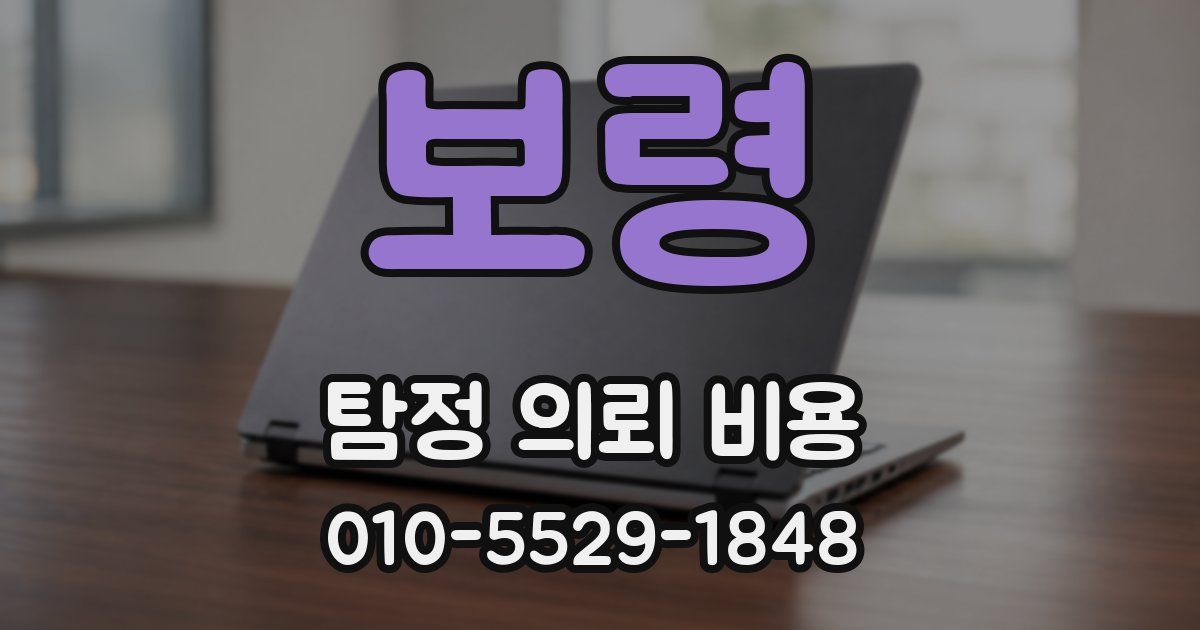 보령 탐정 의뢰 비용