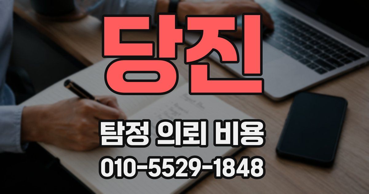 당진 탐정 의뢰 비용