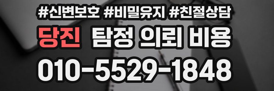 당진 탐정 의뢰 비용