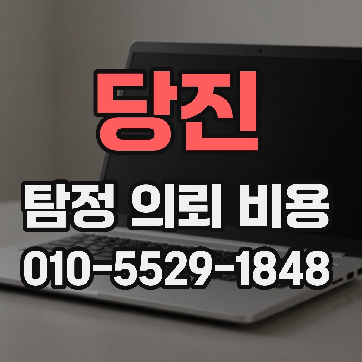 당진 탐정 의뢰 비용