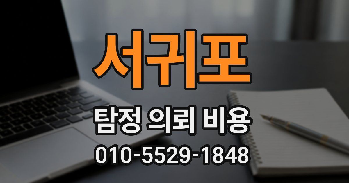 서귀포 탐정 의뢰 비용
