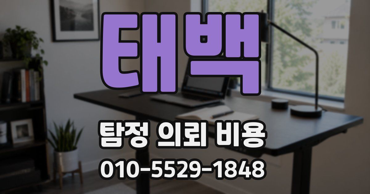 태백 탐정 의뢰 비용