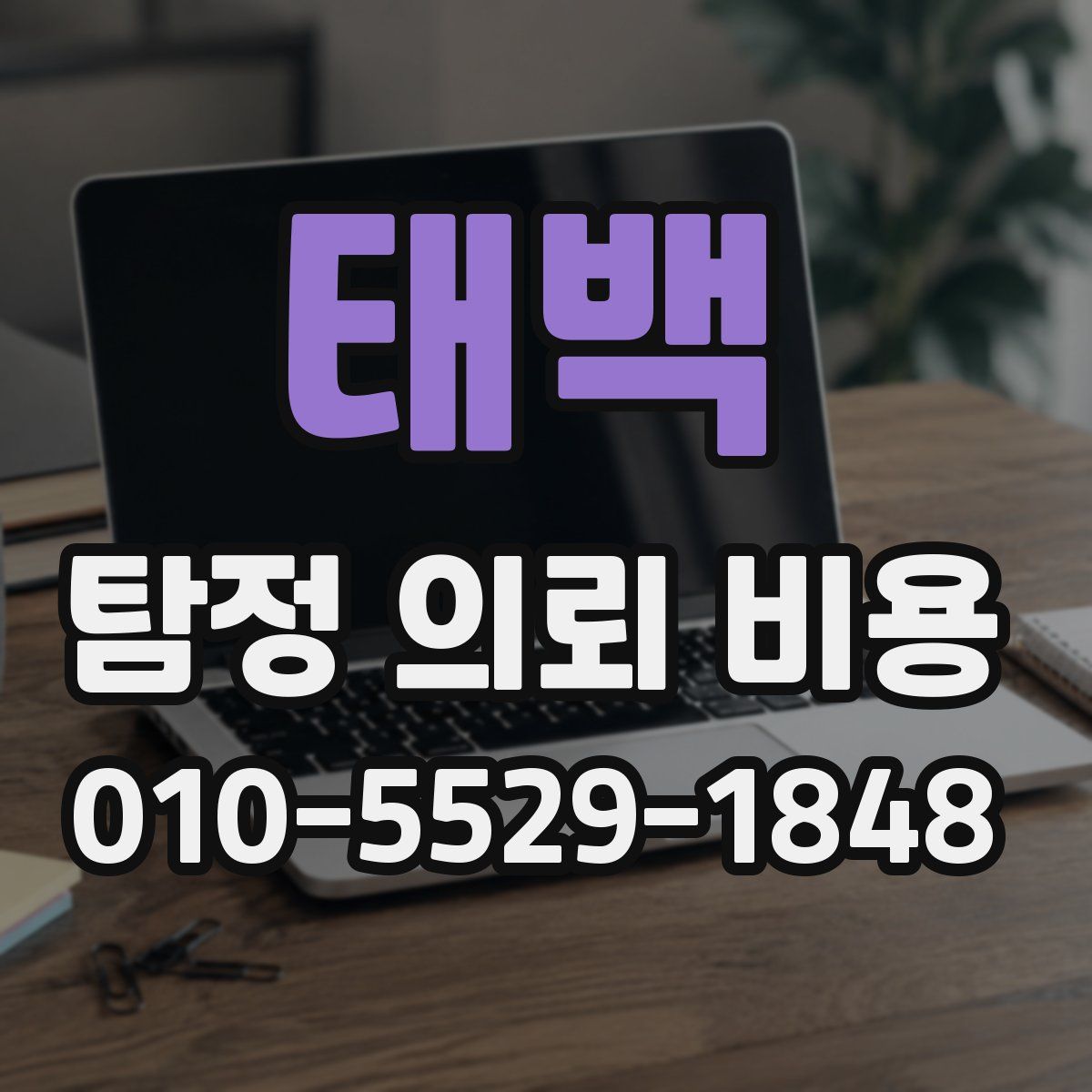 태백 탐정 의뢰 비용
