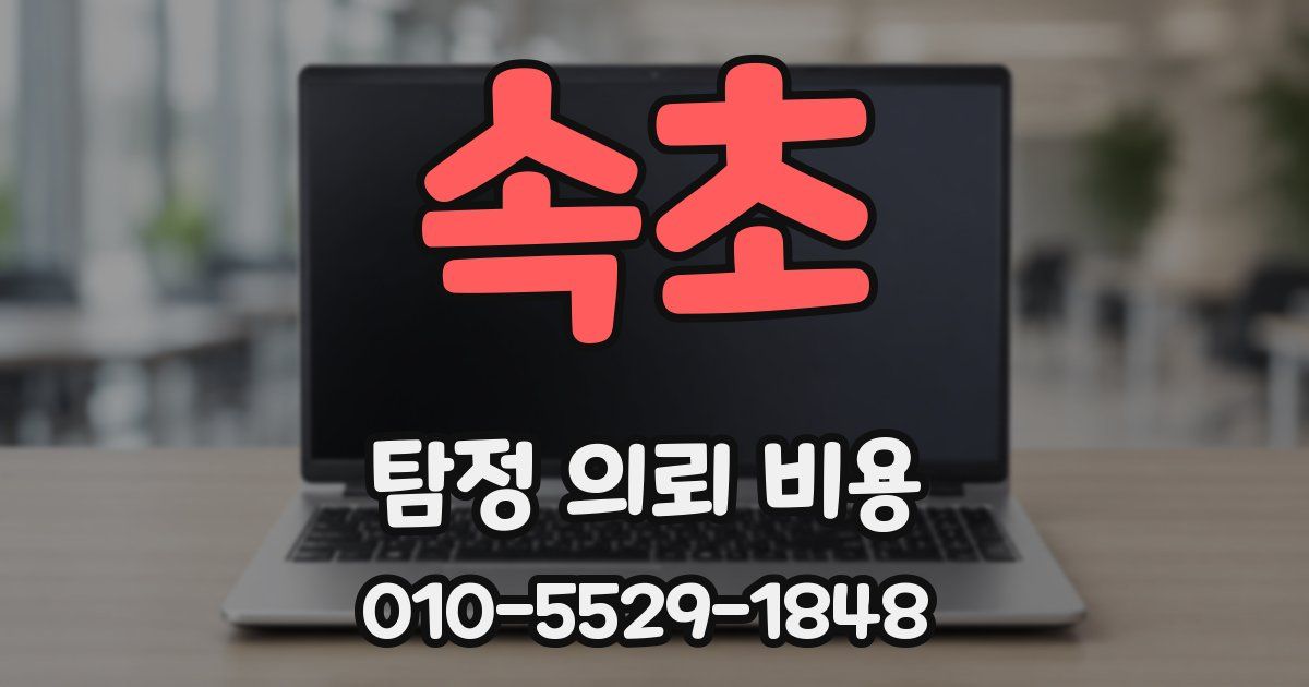 속초 탐정 의뢰 비용