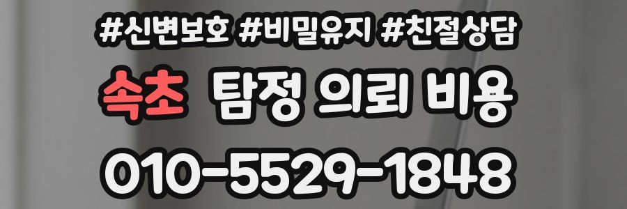속초 탐정 의뢰 비용