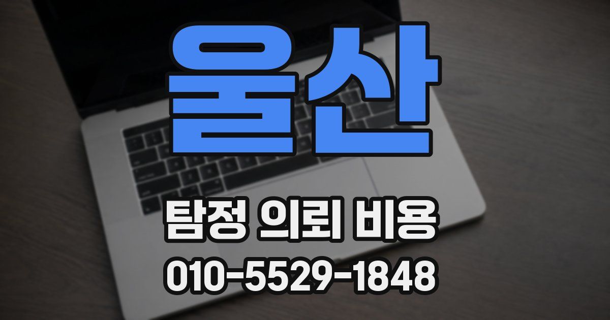 울산 탐정 의뢰 비용