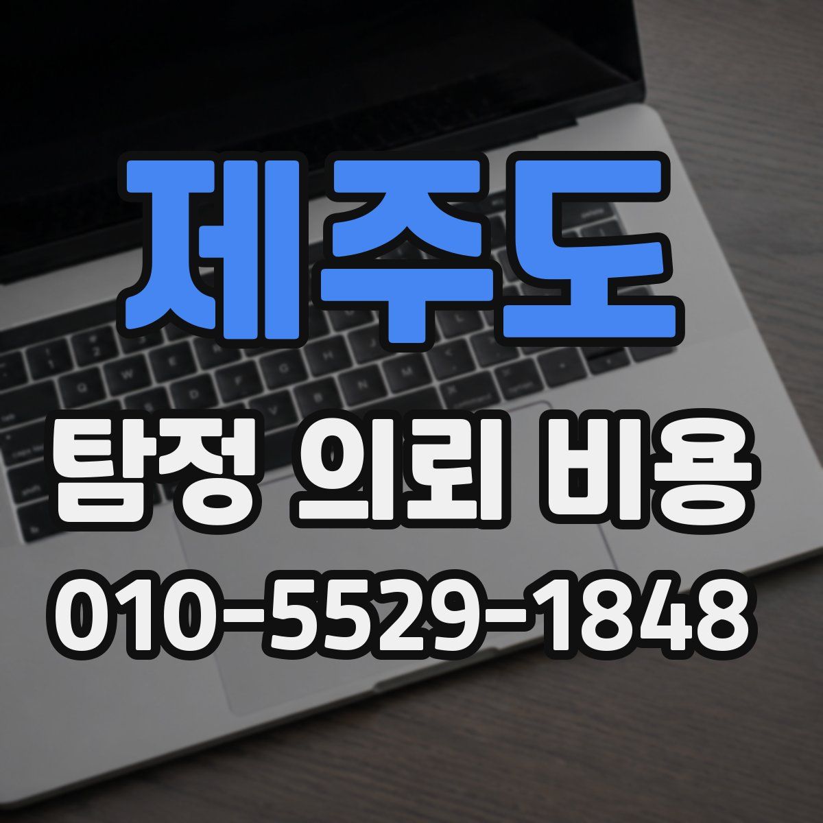 제주도 탐정 의뢰 비용