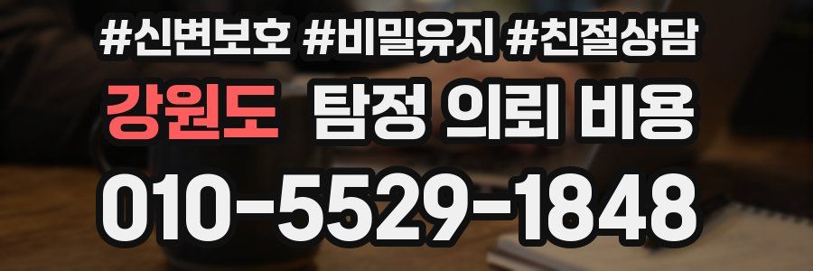 강원도 탐정 의뢰 비용