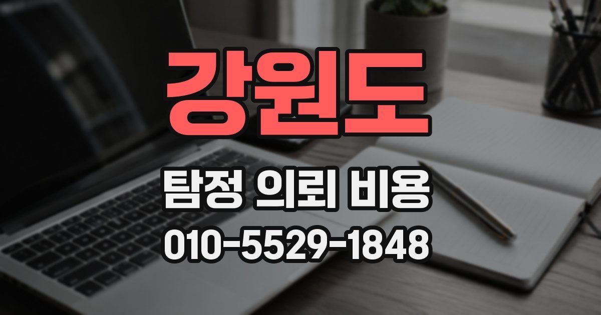 강원도 탐정 의뢰 비용