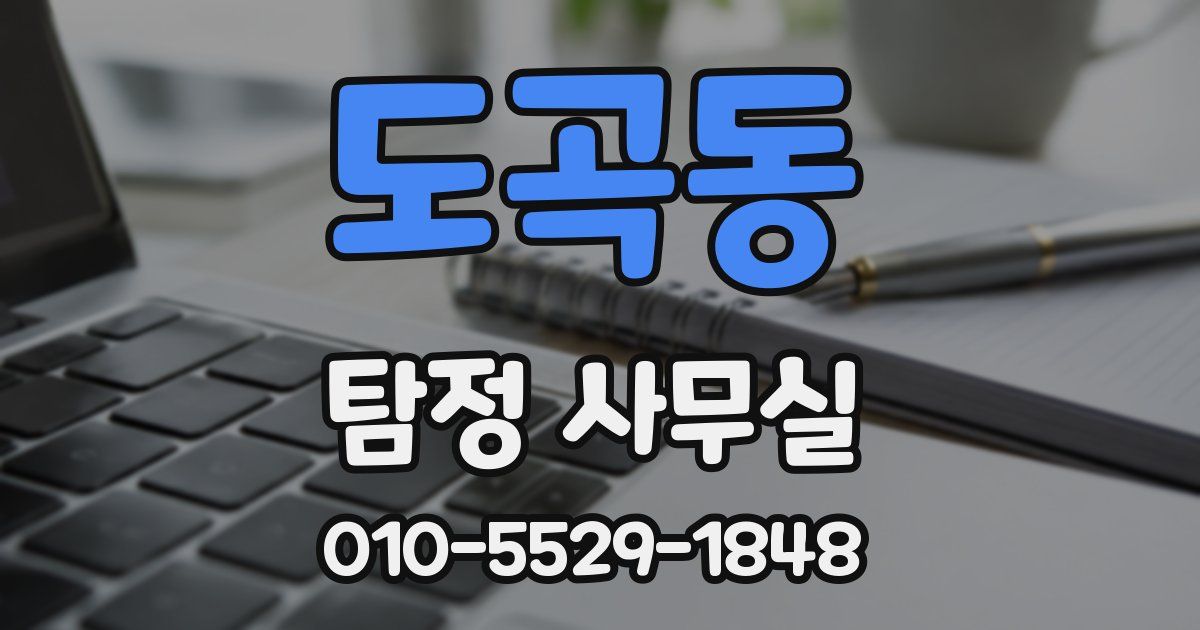 도곡동 탐정 사무실