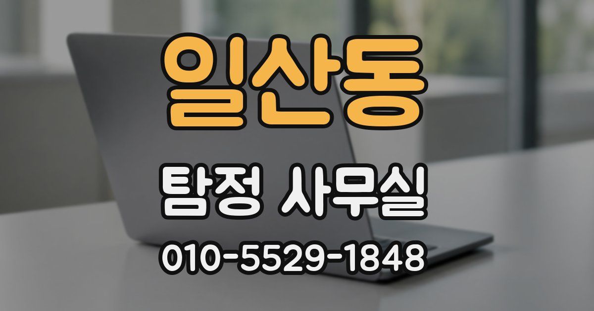 일산동 탐정 사무실