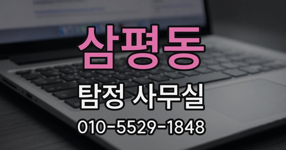 삼평동 탐정 사무실