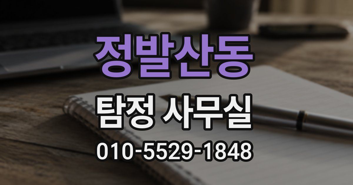 정발산동 탐정 사무실