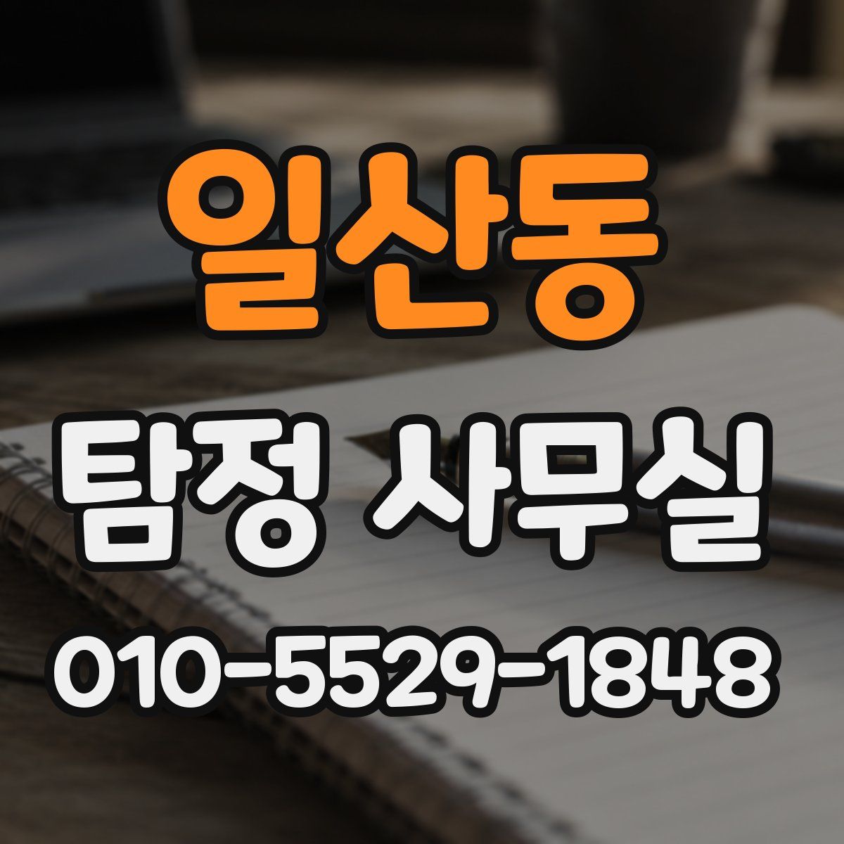일산동 탐정 사무실