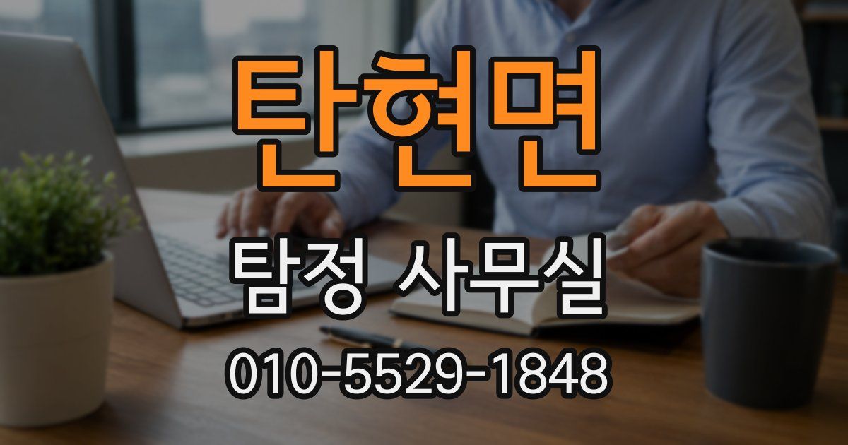탄현면 탐정 사무실