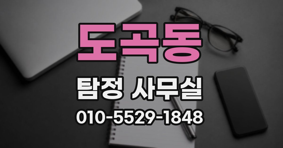 도곡동 탐정 사무실