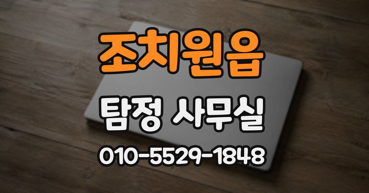 조치원읍 탐정 사무실