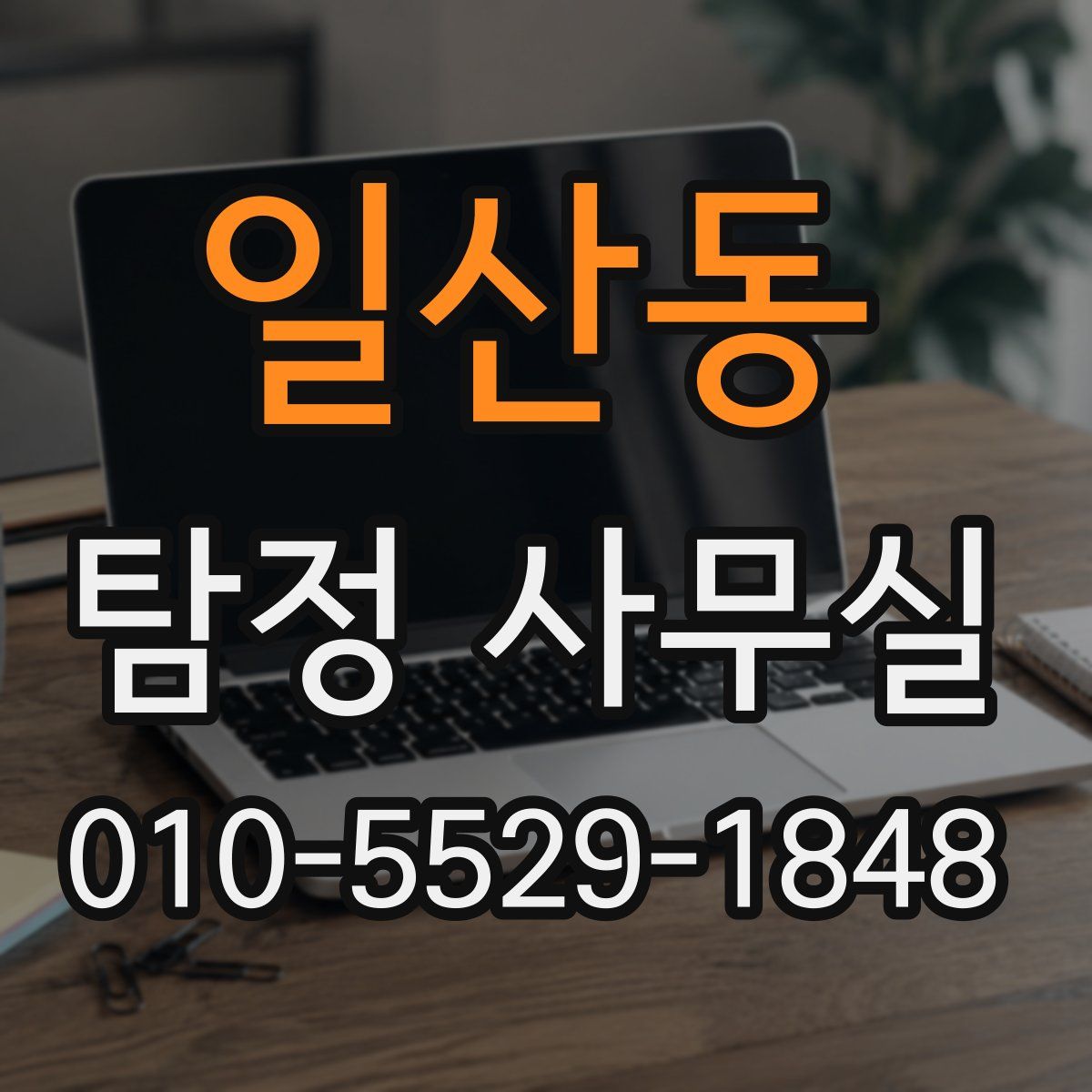 일산동 탐정 사무실
