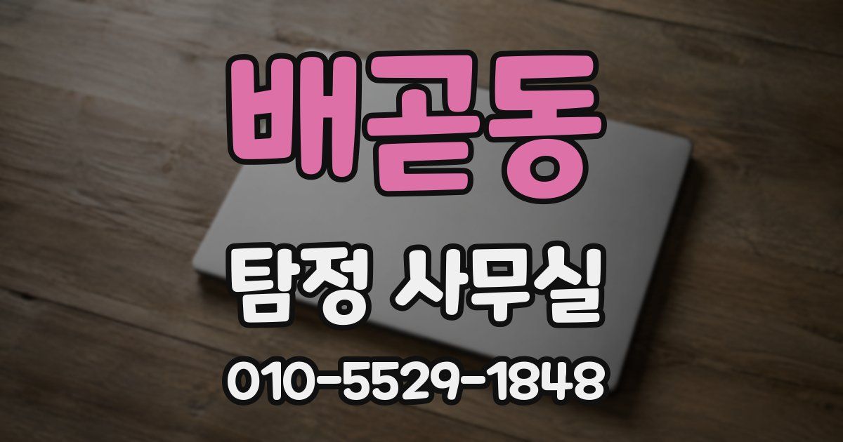 배곧동 탐정 사무실