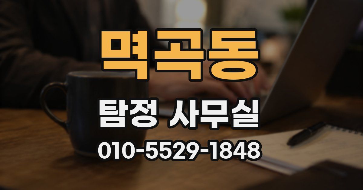 멱곡동 탐정 사무실
