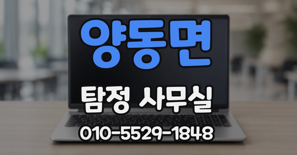 양동면 탐정 사무실