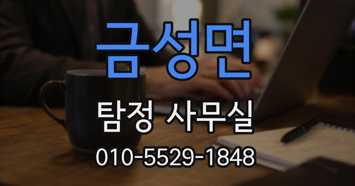 금성면 탐정 사무실