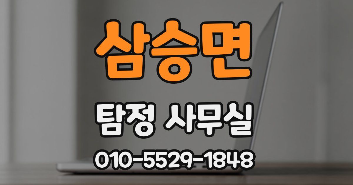 삼승면 탐정 사무실