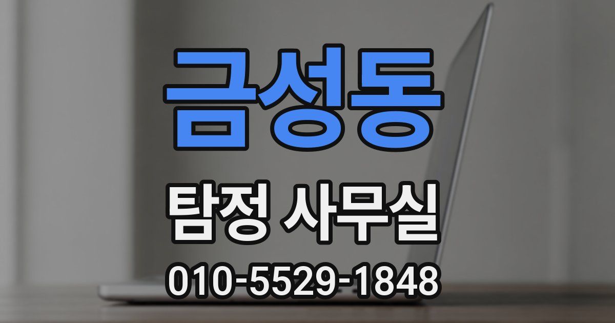 금성동 탐정 사무실