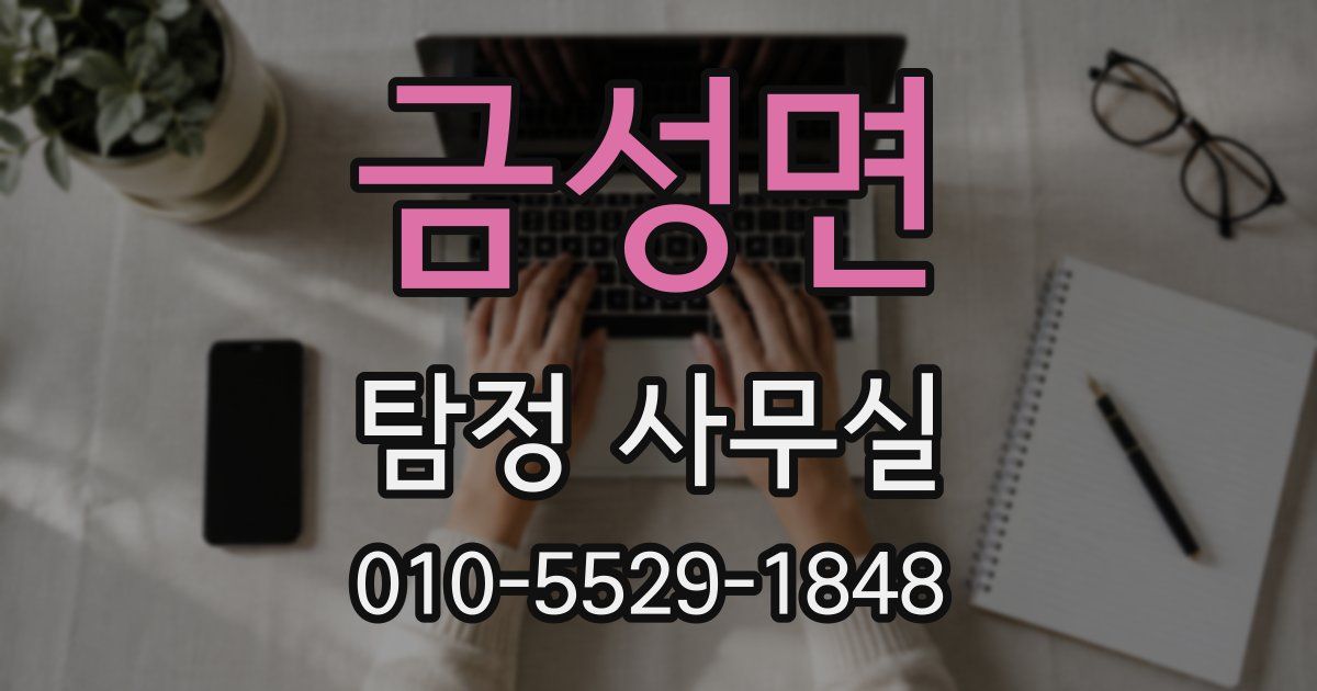 금성면 탐정 사무실