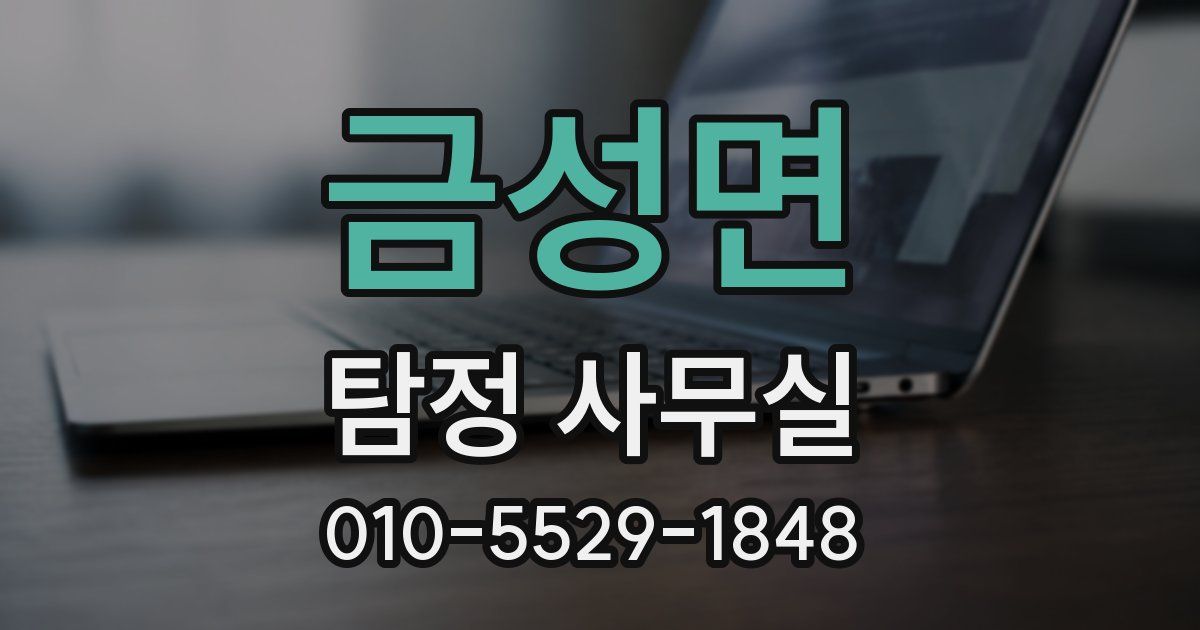 금성면 탐정 사무실