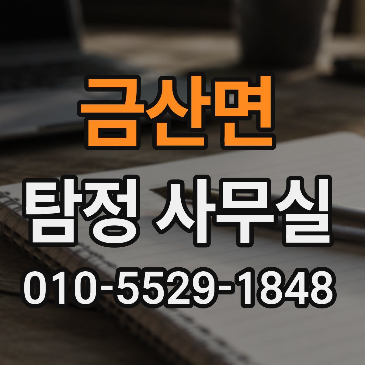 금산면 탐정 사무실