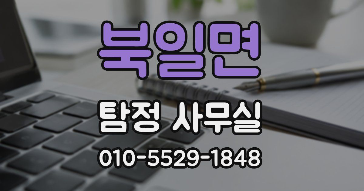 북일면 탐정 사무실