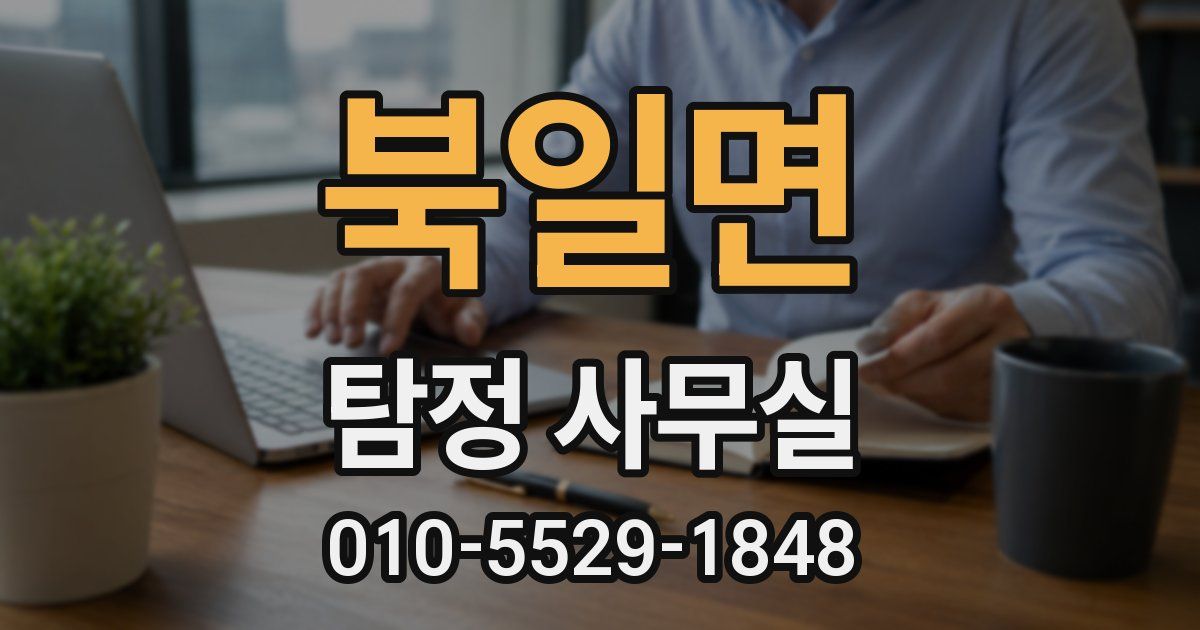 북일면 탐정 사무실