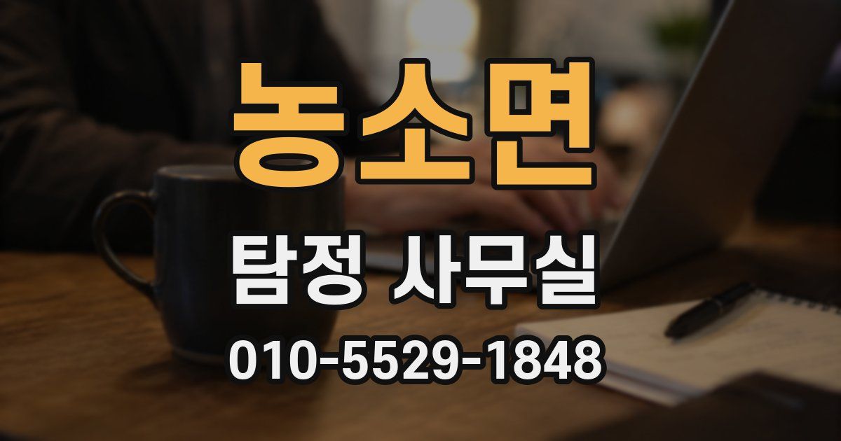 농소면 탐정 사무실
