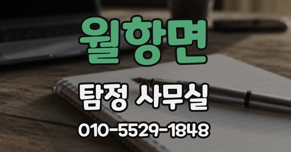 월항면 탐정 사무실