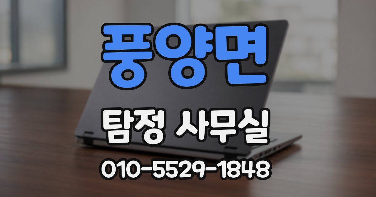 풍양면 탐정 사무실