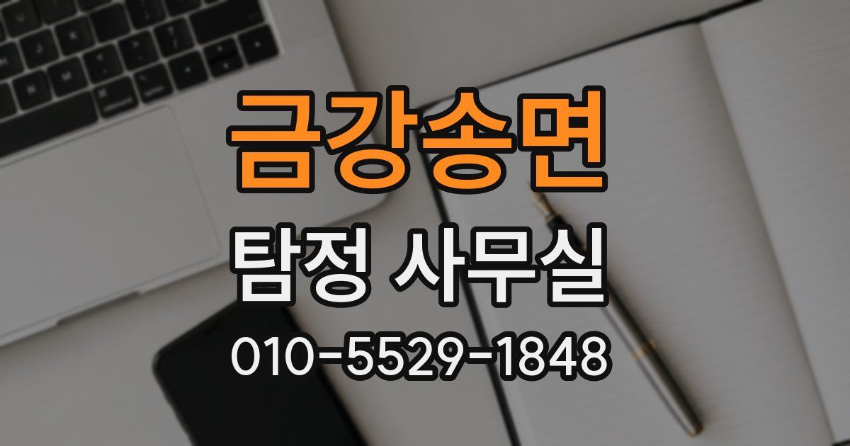 금강송면 탐정 사무실