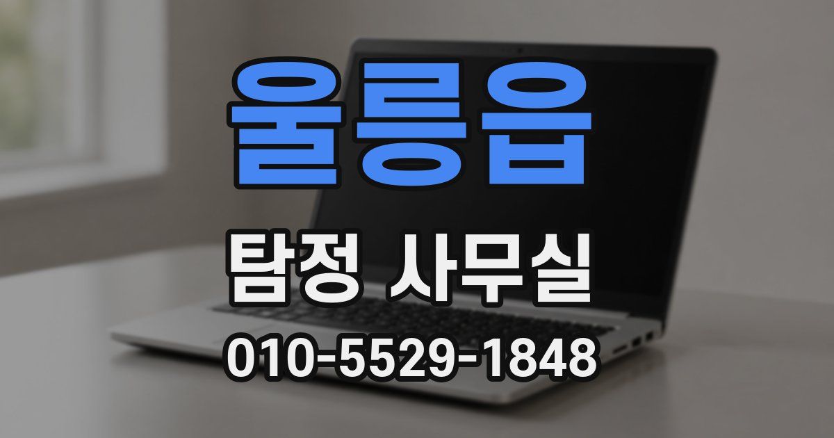 울릉읍 탐정 사무실