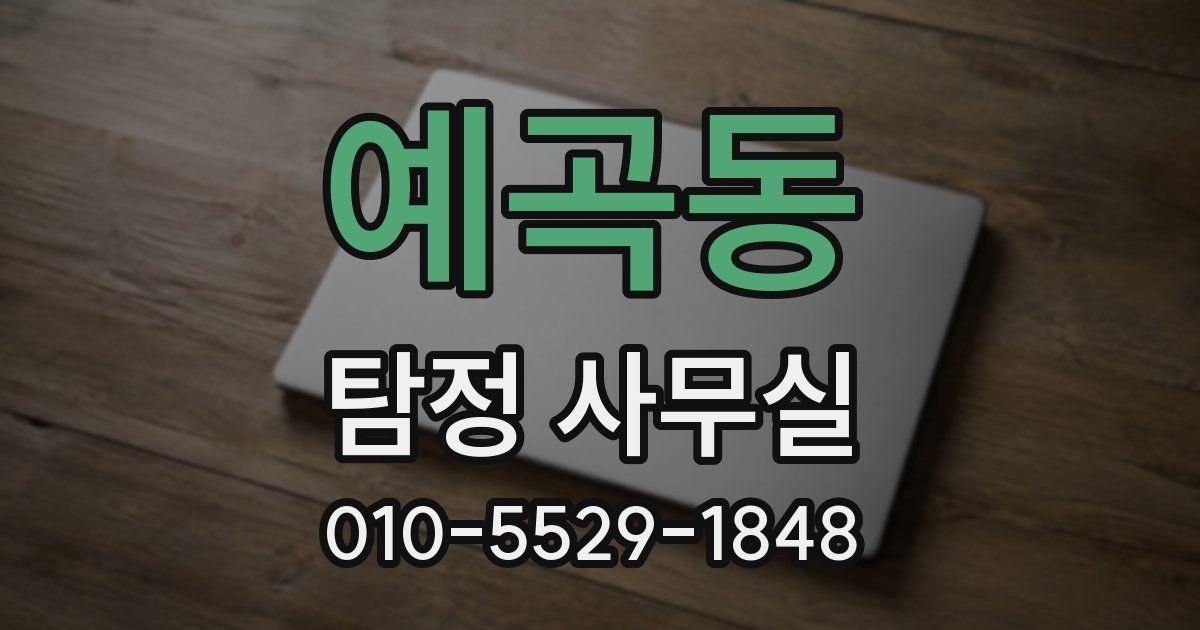 예곡동 탐정 사무실